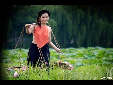 Hotspot Matrix và giải pháp ứng phó với vấn đề thực tiễn