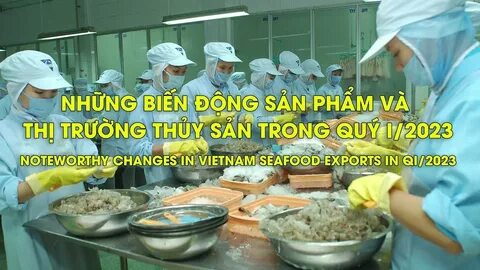 Cách Khởi Nghiệp Kiếm Tiền Bán Thời Gian Dành Cho Người Mới_Phần mềm biên tập video chuyên nghiệp