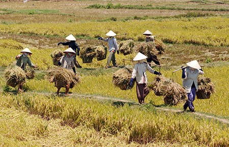Hotspot Matrix – Kết thúc hành trình 3 ngày rực rỡ tại SECC 2025
