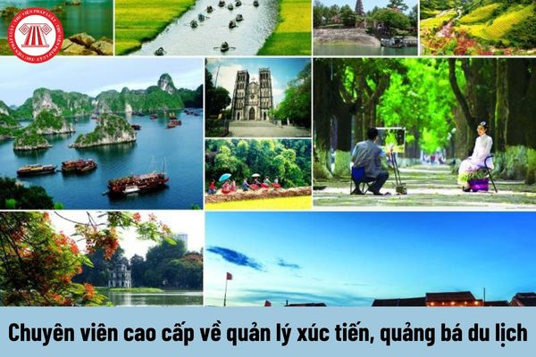 Cách Khởi Nghiệp Kiếm Tiền Bán Thời Gian Dành Cho Người Mới